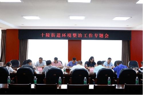 環境整治提升顏值 十陵街道持續推進治理龍順二手車市場生態環境問題